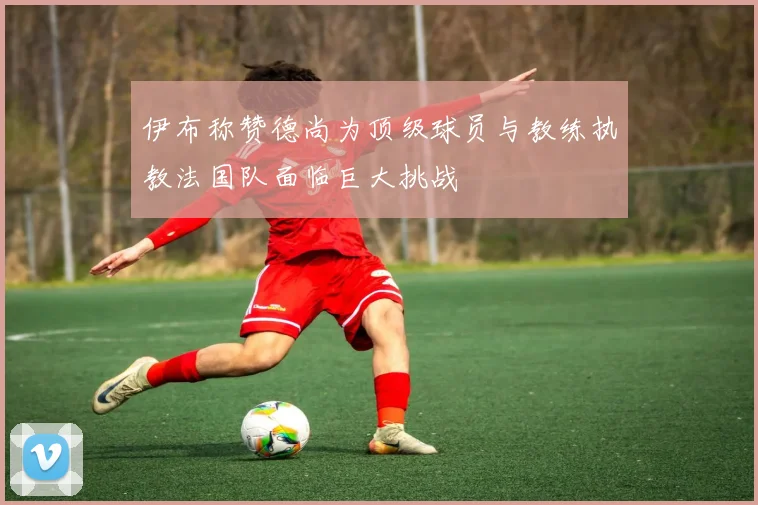 伊布称赞德尚为顶级球员与教练执教法国队面临巨大挑战